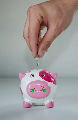 teveel-geld-uitgeven-en-sparen-266x408 teveel geld uitgeven